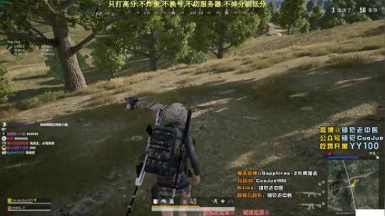 【错觉】双排12杀