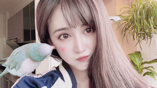 一搜胡恒图谶组撒