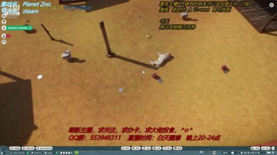 动物园之星 2847880 2019-12-18 20点场