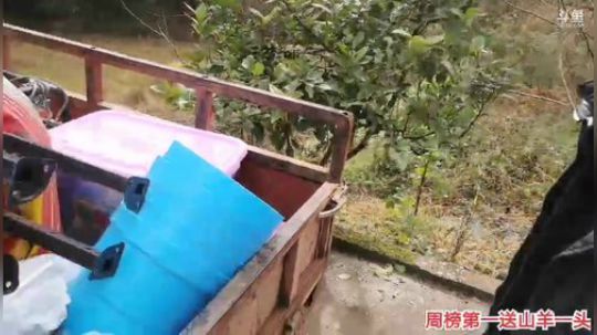 干塘啦！！！，，， 2019-12-19 13点场