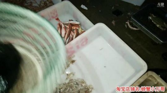 哆啦爱梦梦发布了一个斗鱼视频2019-12-19