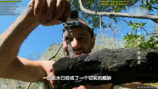 护法惊丶发布了一个斗鱼视频2019-12-20