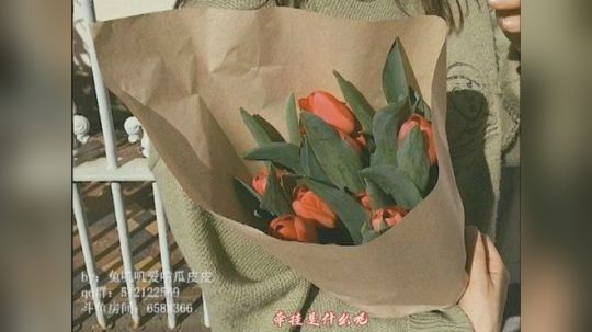 兔叽叽的碎碎念——晚安夜话