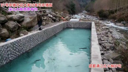 感恩有你一路前行(≧ω≦)/ 2019-12-20 15点场