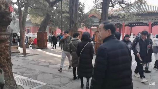 心心恋凡发布了一个斗鱼视频2019-12-21