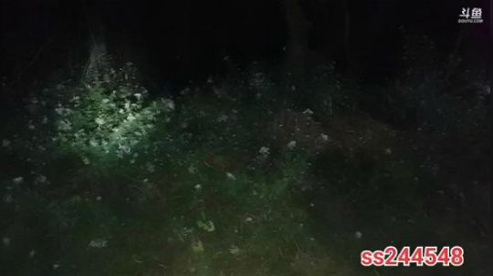 August丶21th发布了一个斗鱼视频2019-12-21