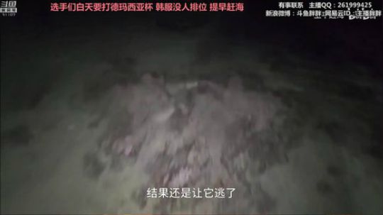 胖胖OB：LPL转会\韩服疯狂撞车 2019-12-21 02点场