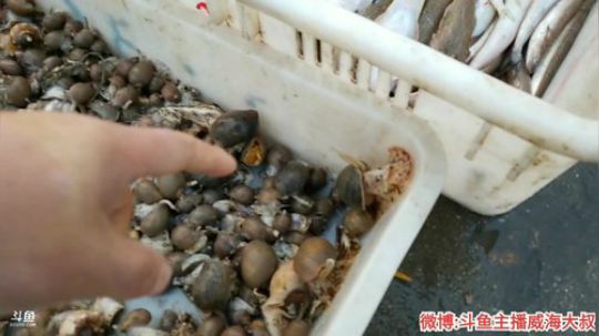 哆啦爱梦梦发布了一个斗鱼视频2019-12-21