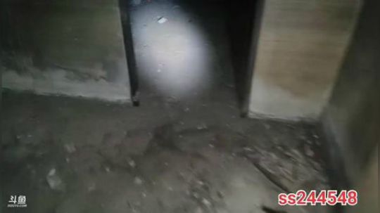 睿智兄弟闯泰国，之泰囧曼谷 2019-12-20 23点场