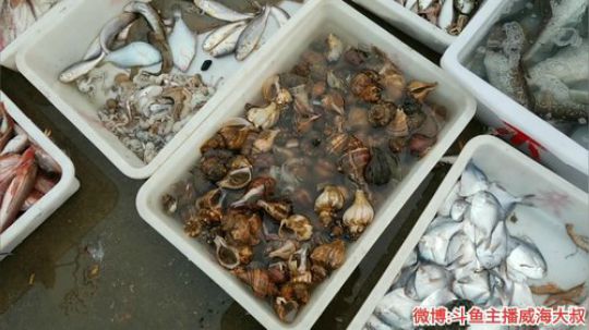 哆啦爱梦梦发布了一个斗鱼视频2019-12-21