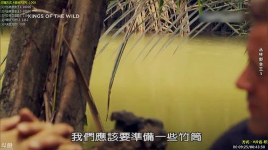 户外遛狗王飞哥发布了一个斗鱼视频2019-12-21