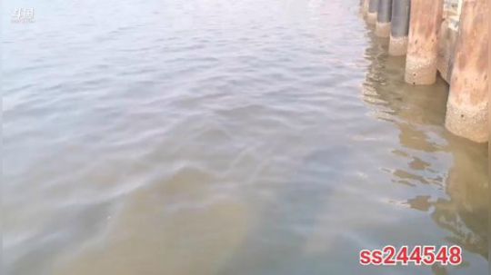 睿智兄弟闯泰国，之芭提雅 2019-12-22 16点场