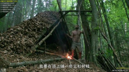 户外遛狗王飞哥发布了一个斗鱼视频2019-12-22