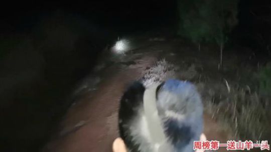 求赞