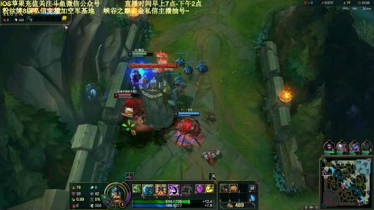 峡谷之巅百分百胜率！进来学摇花手嗷！ 2019-12-22 09点场