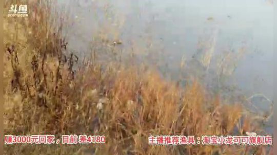 十一郎君01发布了一个斗鱼视频2019-12-22