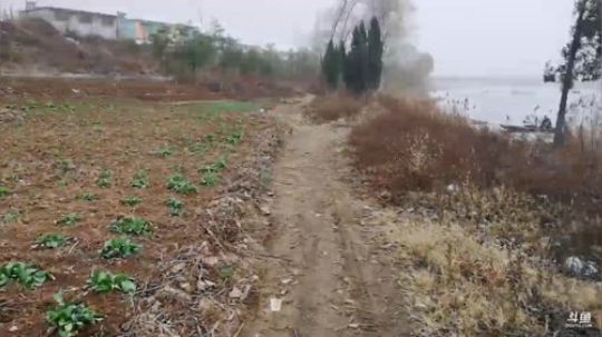 科头溜子发布了一个斗鱼视频2019-12-22