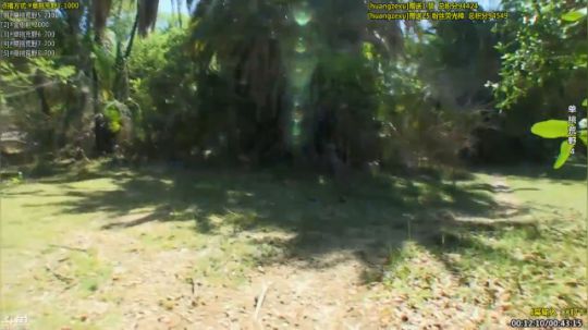 户外遛狗王飞哥发布了一个斗鱼视频2019-12-23