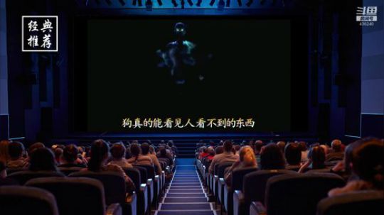 户外遛狗王飞哥发布了一个斗鱼视频2019-12-24