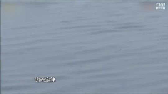 我在斗鱼看贱贱钓鱼直播乡野