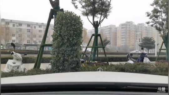 回老家办个事 6561377 2019-12-24 15点场