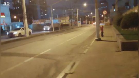 一条猪兒虫OvO发布了一个斗鱼视频2019-12-24