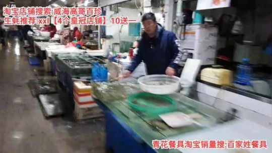 西北老狼哥哥发布了一个斗鱼视频2019-12-25