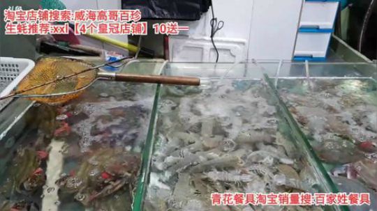 西北老狼哥哥发布了一个斗鱼视频2019-12-25