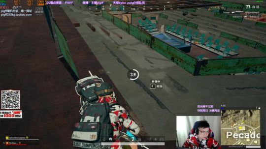 我在斗鱼看pigff直播绝地求生