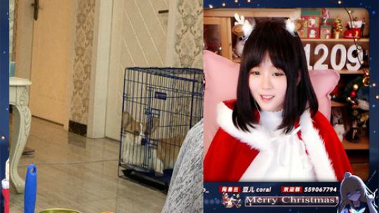 伤心hh发布了一个斗鱼视频2019-12-25