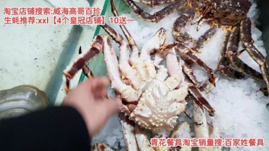 西北老狼哥哥发布了一个斗鱼视频2019-12-25