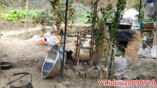爱喝百事可乐D周星星发布了一个斗鱼视频2019-12-26