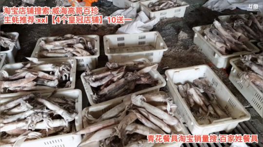 西北老狼哥哥发布了一个斗鱼视频2019-12-26