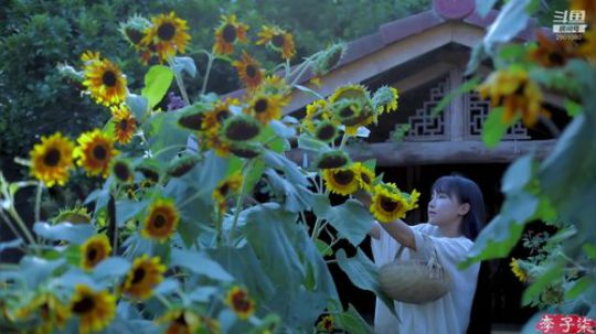 藤一的小幸运发布了一个斗鱼视频2019-12-26