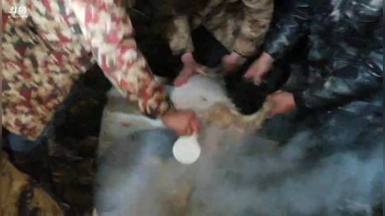 勇士集结完毕，12:00上线拉网！ 2019-12-26 17点场