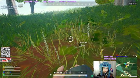 我在斗鱼看pigff直播绝地求生