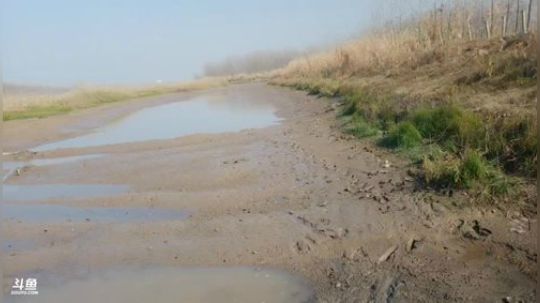 一直怼坑一直爽 2019-12-27 11点场