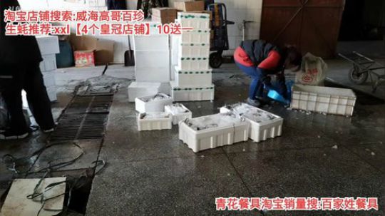 西北老狼哥哥发布了一个斗鱼视频2019-12-27