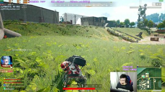 我在斗鱼看pigff直播绝地求生