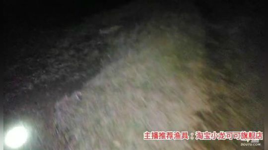 十一郎君01发布了一个斗鱼视频2019-12-27