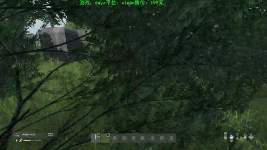 dayz 僵尸末日 新地图 2019-12-26 19点场