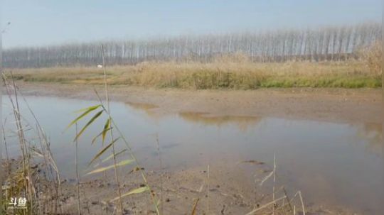 勇士集结完毕，12:00上线拉网！ 2019-12-27 10点场