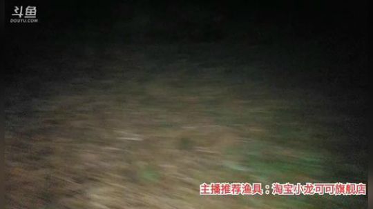 十一郎君01发布了一个斗鱼视频2019-12-27