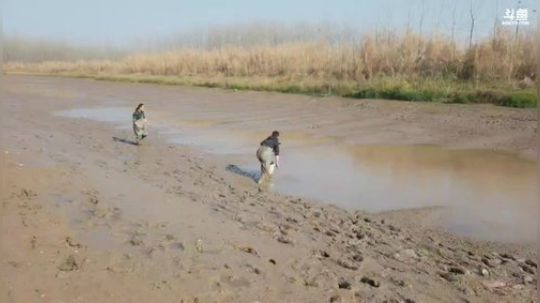 一直怼坑一直爽 2019-12-27 13点场