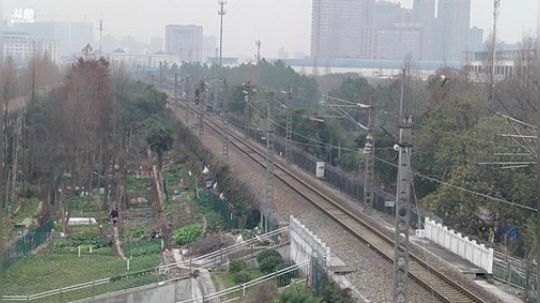 今天带你们去白塔公园 2019-12-28 15点场