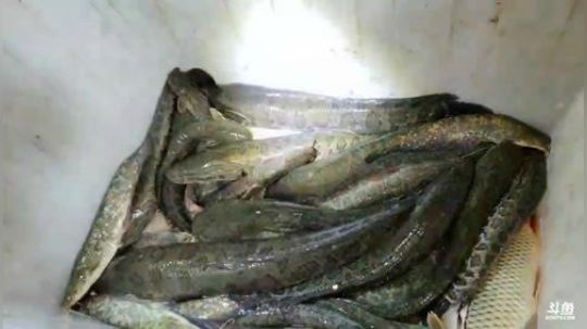 一直怼坑一直爽 2019-12-27 22点场