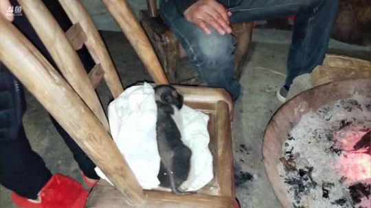 河道捡呆子鱼奢华鱼。 2019-12-27 22点场