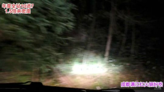 年度10进7(≧ω≦)/ 2019-12-28 20点场