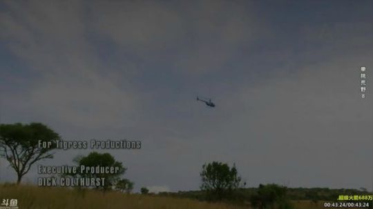 户外遛狗王飞哥发布了一个斗鱼视频2019-12-28