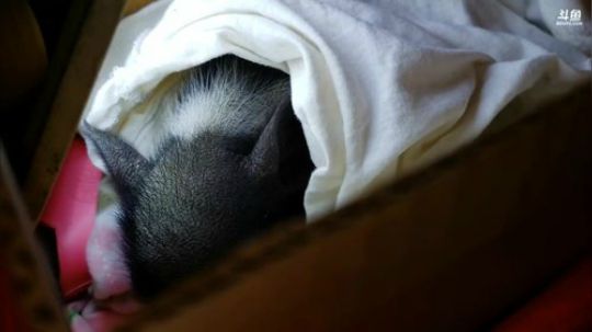 我们一起陪着你。 2019-12-28 00点场